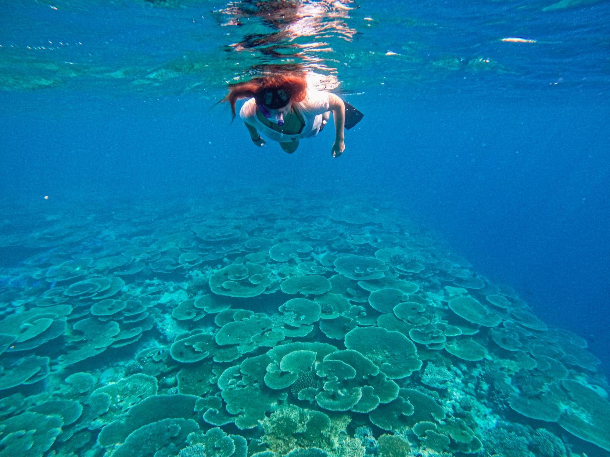 فندق Manta Sea View هيماندهو المظهر الخارجي الصورة