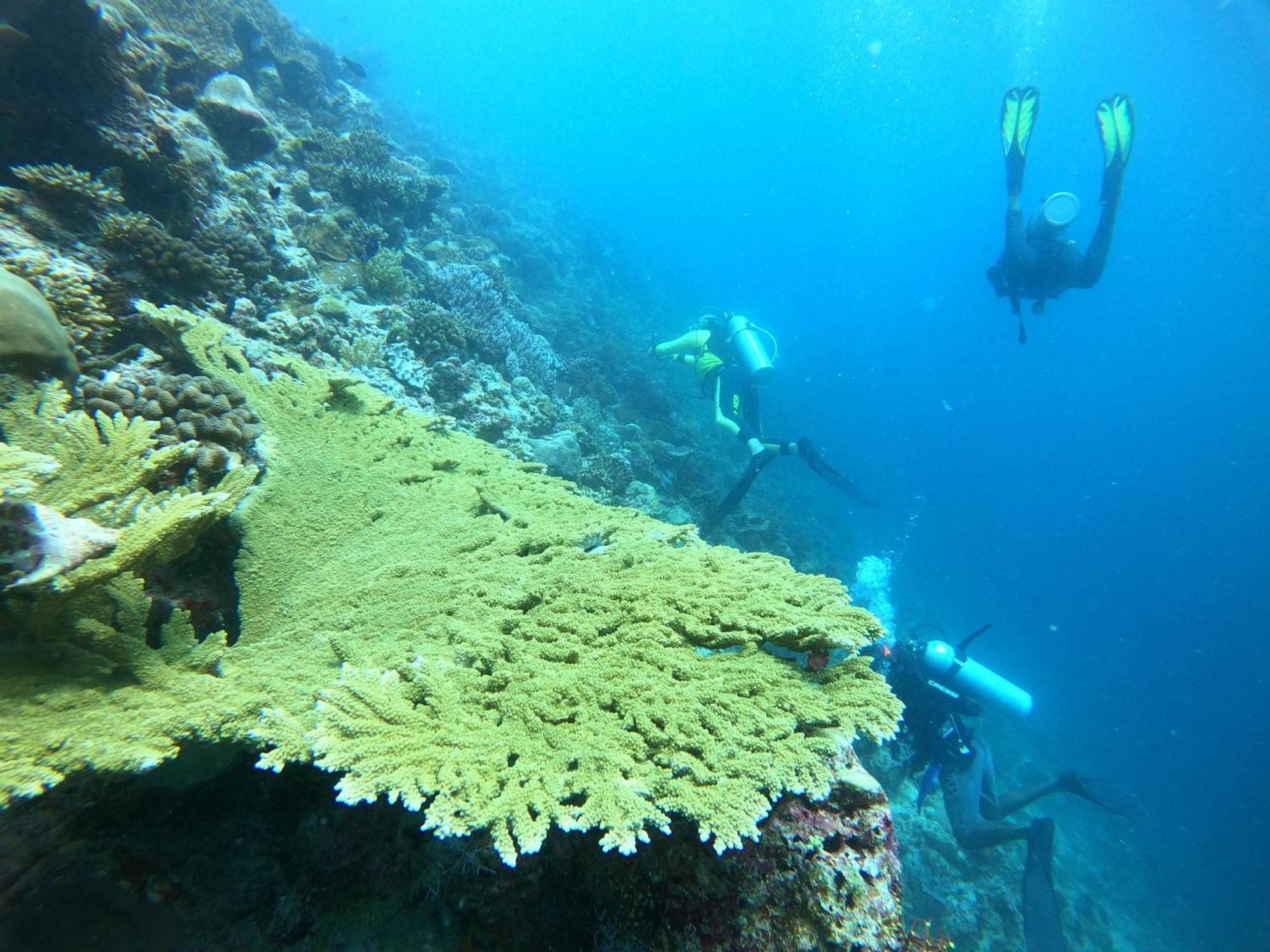 فندق Manta Sea View هيماندهو المظهر الخارجي الصورة